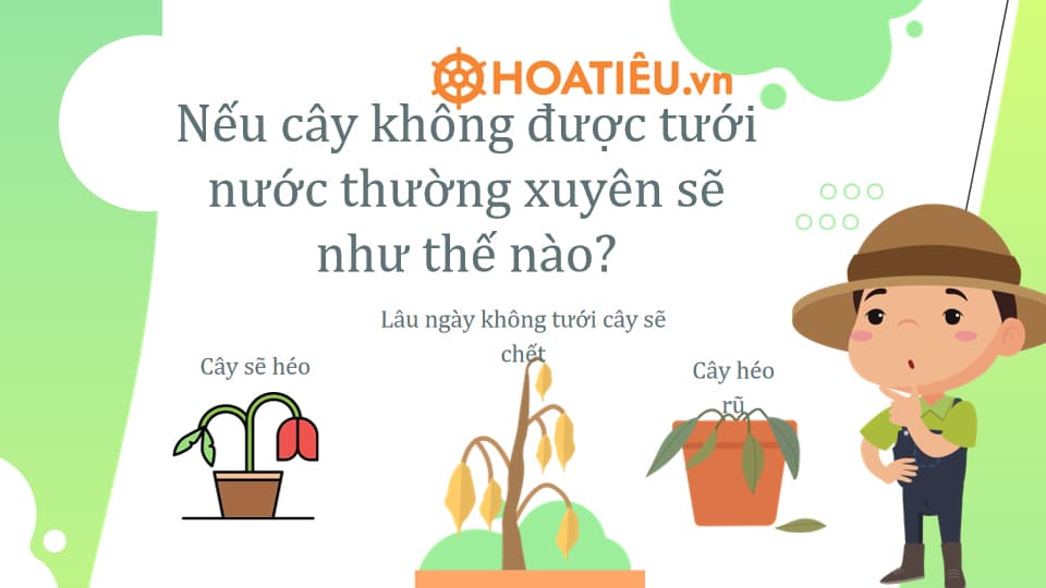 Bài học STEM lớp 4: Bình tưới cây thông minh
