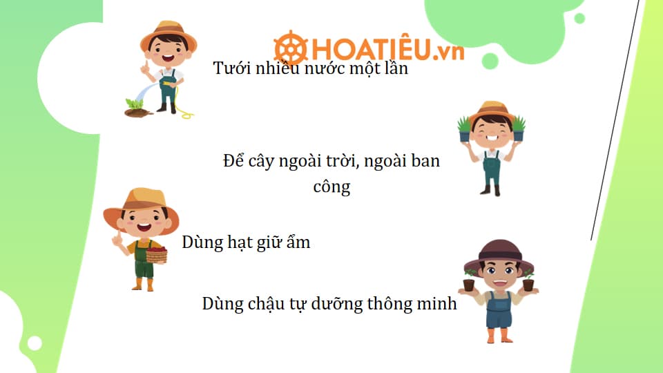 Bài học STEM lớp 4: Bình tưới cây thông minh