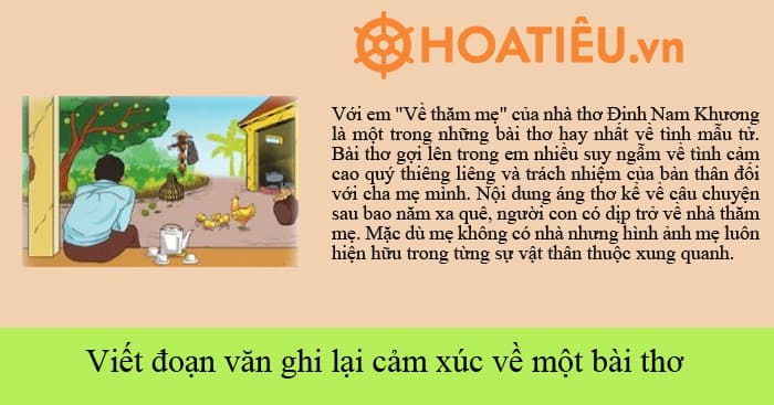 Top 50 Đoạn Văn Ghi Lại Cảm Xúc Về Một Bài Thơ Lớp 6 Ctst Hay Nhất