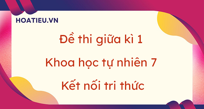 Đề thi giữa kì 1 Khoa học tự nhiên 7 Kết nối tri thức 2023-2024 (8 đề)