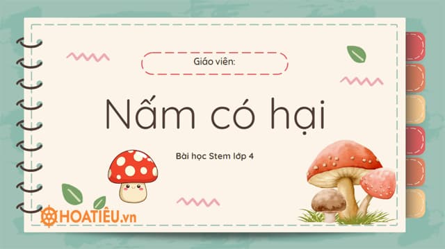 Giáo án STEM lớp 4