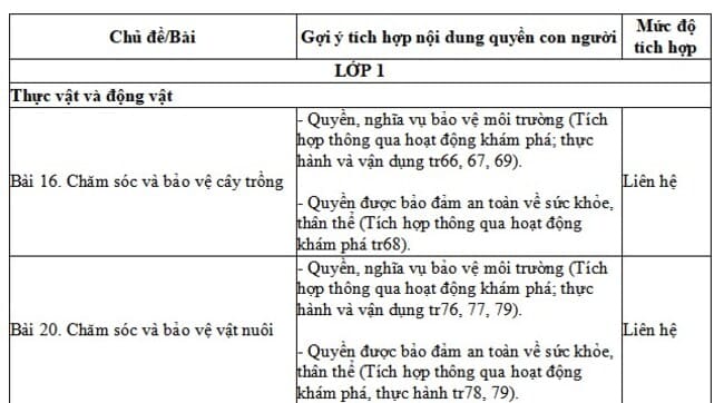 Tích hợp giáo dục quyền con người môn Tự nhiên và Xã hội lớp 1 Kết nối tri thức với cuộc sống