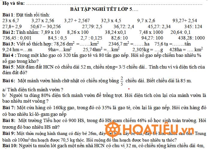 Bài tập Tết lớp 5 môn Toán