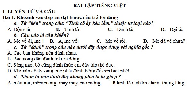  Bài tập Tết lớp 5 môn Tiếng Việt 