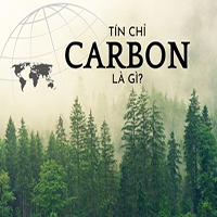 Tín chỉ Carbon là gì?