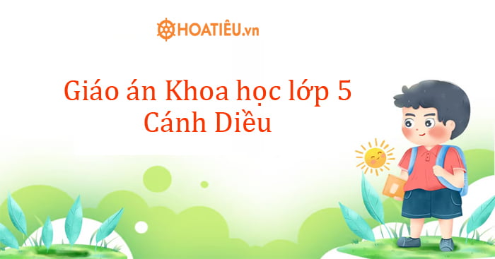 Kế hoạch bài dạy lớp 5 môn Khoa học bộ Cánh Diều