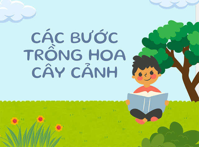 STEM Chậu cây thân thiện với môi trường
