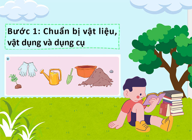 STEM Chậu cây thân thiện với môi trường