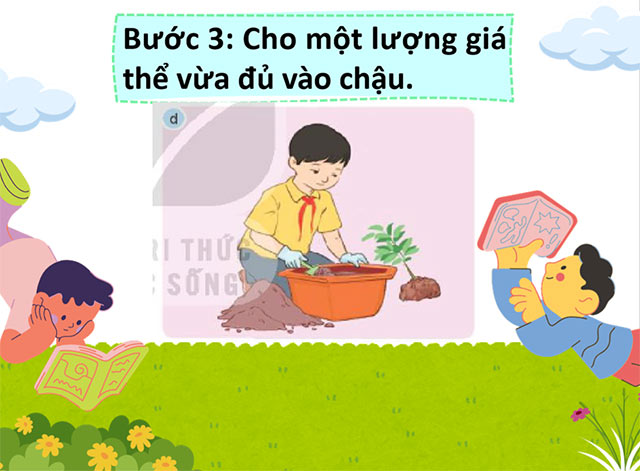 STEM Chậu cây thân thiện với môi trường
