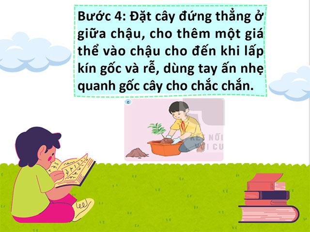STEM Chậu cây thân thiện với môi trường