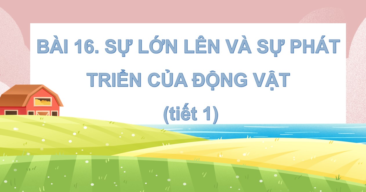 Giáo án PowerPoint Khoa học 5 CTST học kì 1